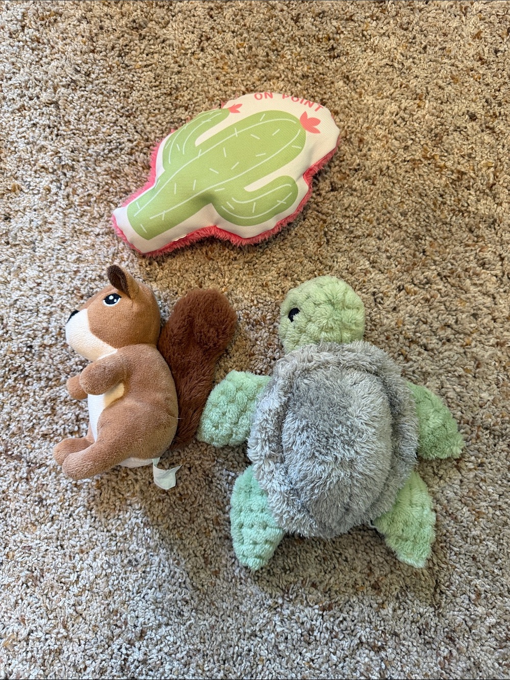 Dog Toy Bundle
